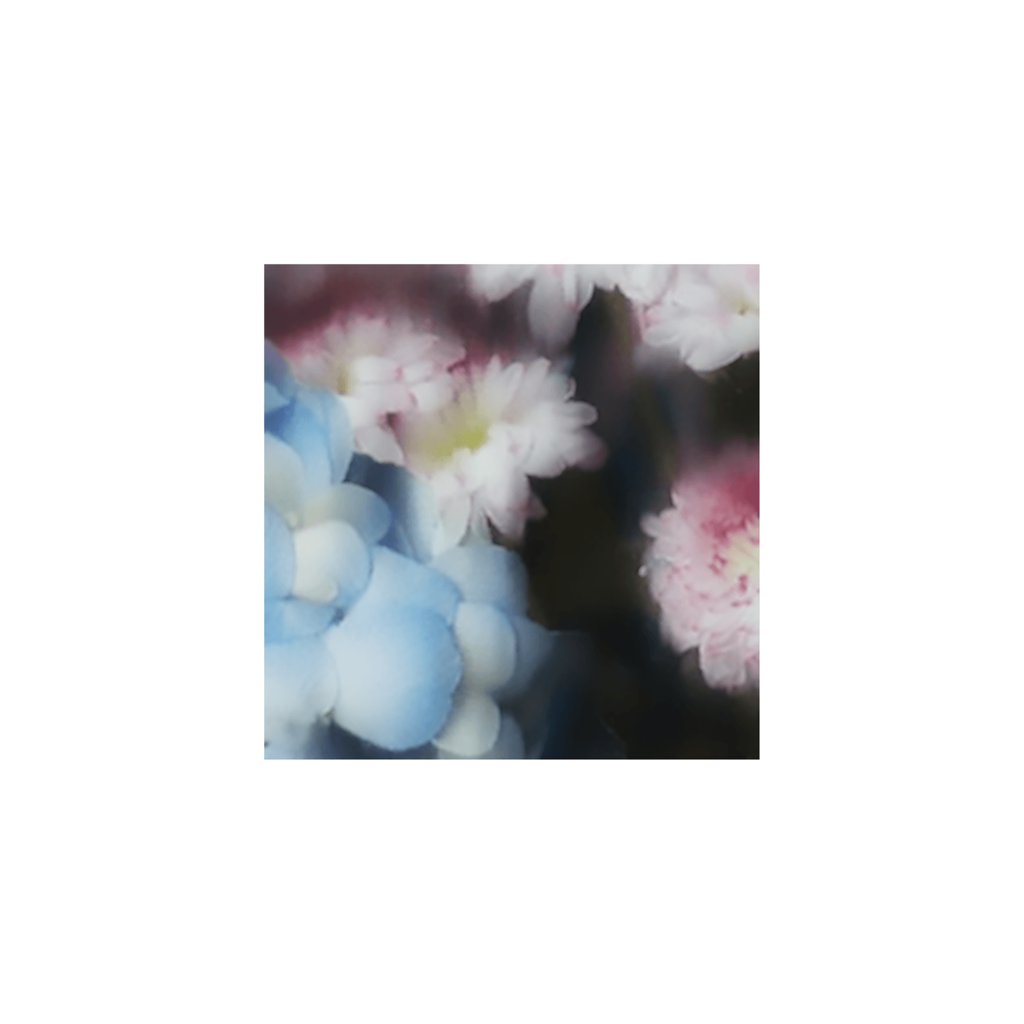 Blurred flowers