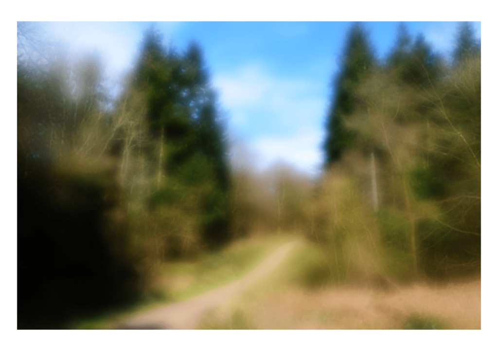 Blurred woodland path