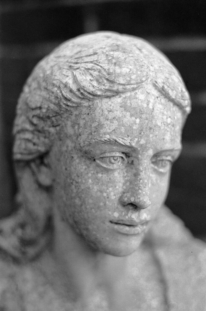 Black and white photograph of the head of a statue of a woman