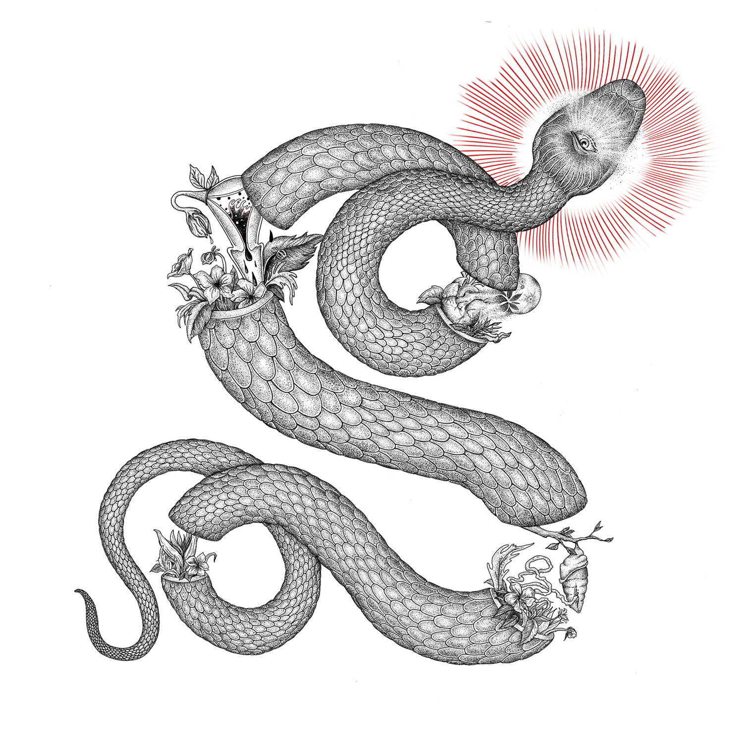 Illustration of a snake 