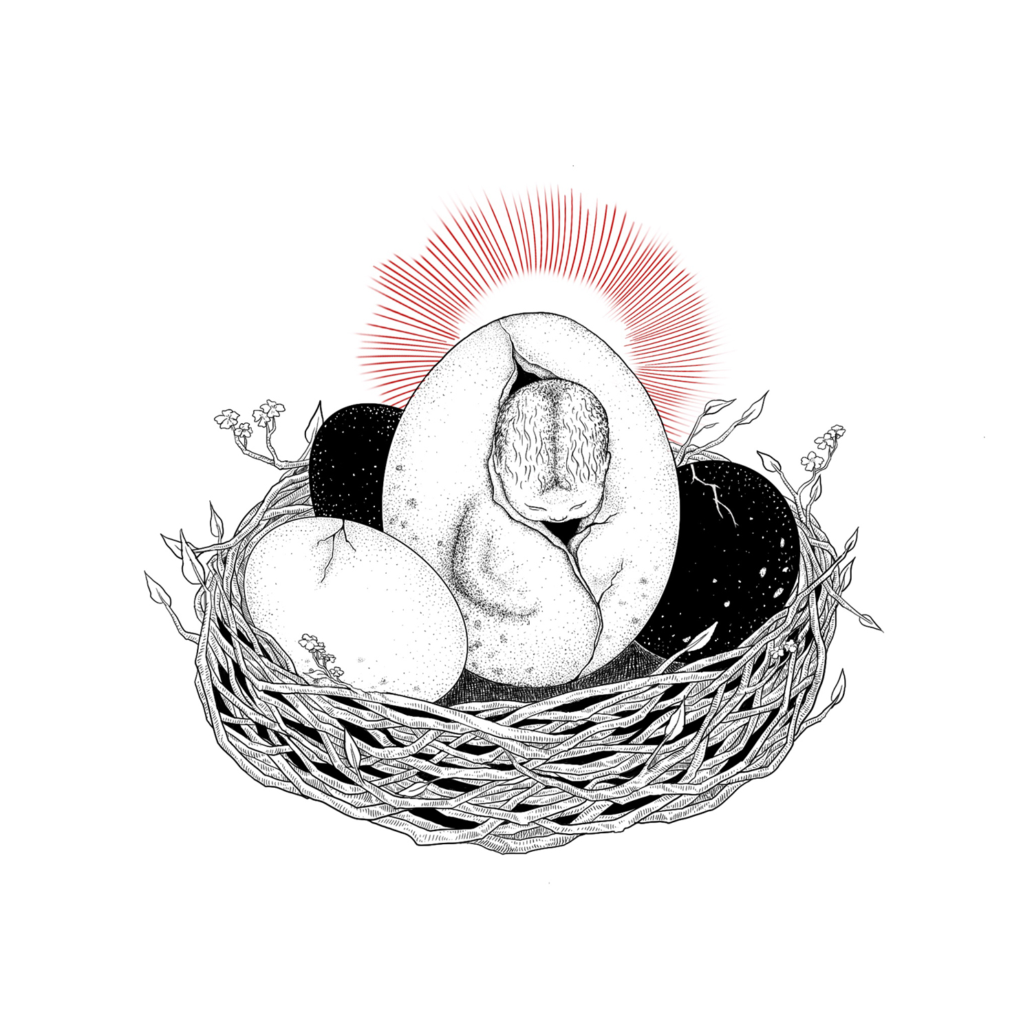 Ullustration of a child being born from an egg