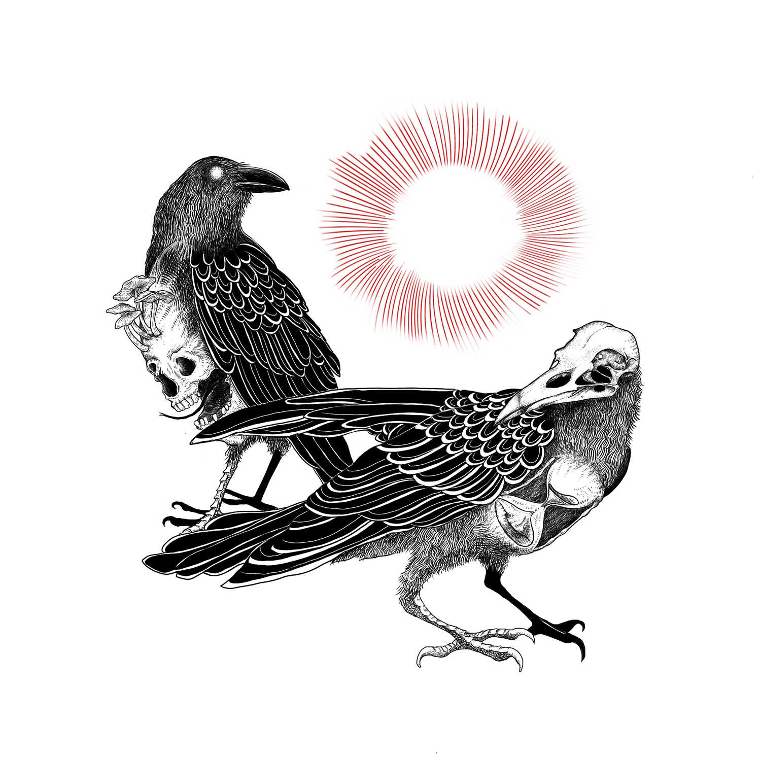Illustration titles Death - two birds combined with skeletal forms